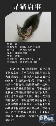 寻小小麻豆作品在线(寻精品小豆作品在线,精选优质内容)