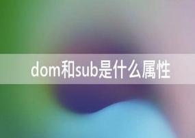 dom是什么意思啊(dom在字母圈中的含义)