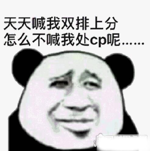 cpdd什么意思(女生说cpdd代表什么)