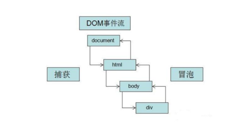 dom是什么意思啊(dom在字母圈中的含义)