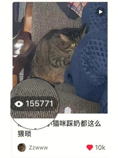 麻豆猫咪av