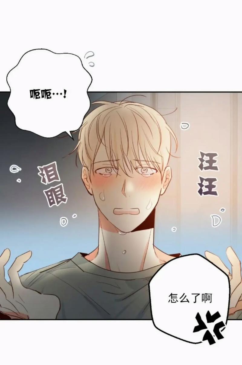 韩漫SVIP漫画登录页面入口(韩漫svip漫画-漫画首页入口)