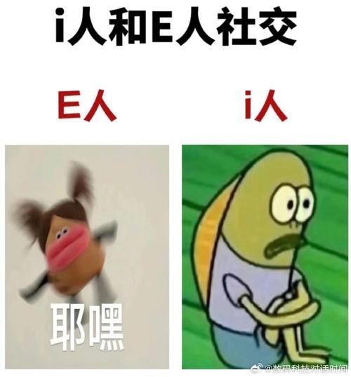 E人和I人是什么意思(e人和i人是什么意思性格测试)