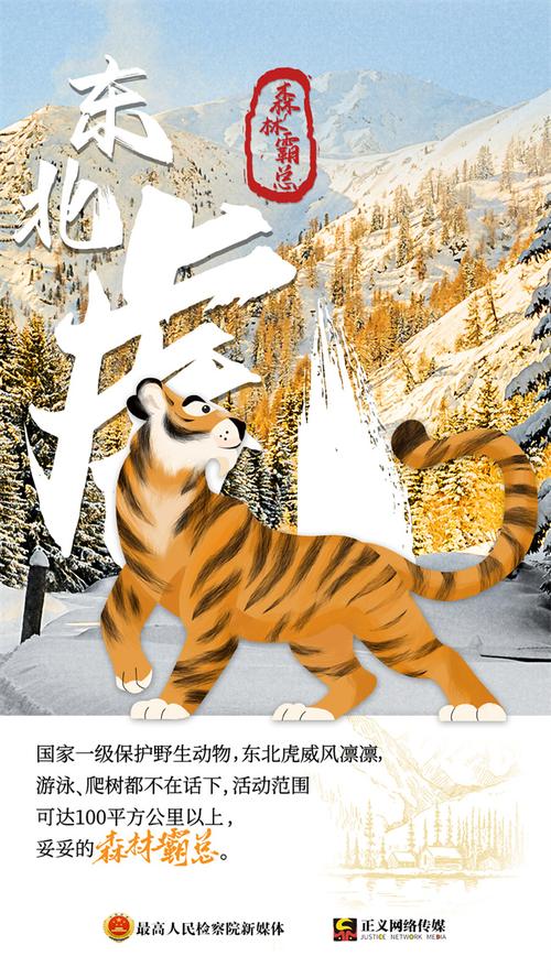 羞羞漫画在线看入口在线看(羞羞漫画在线漫画入口官网)