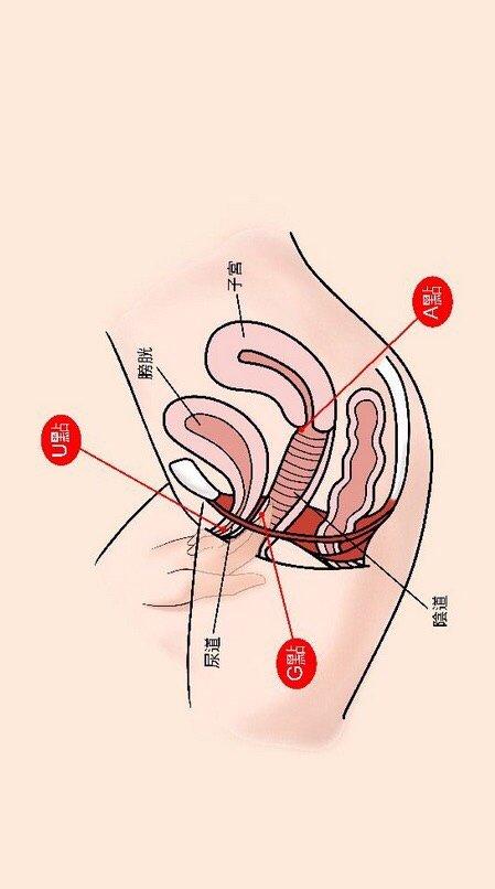 什么叫阴吹(青春期阴吹怎么引起的)