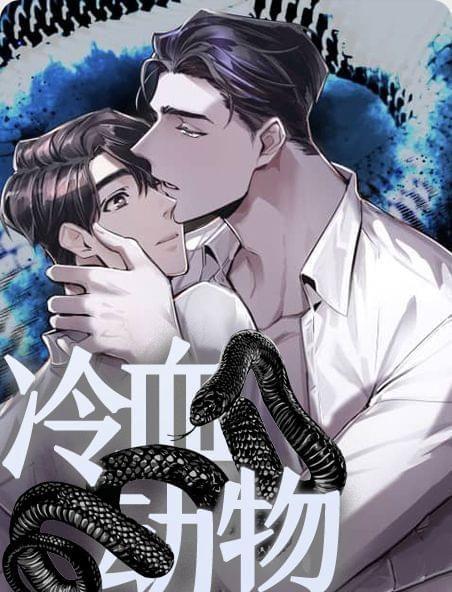 源石快看漫画官网入口(曰本同志漫画入口在线观看)