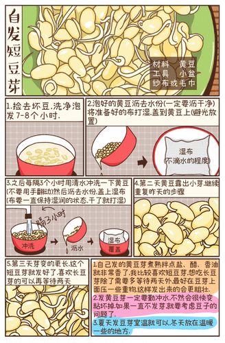 豆芽漫画教程网站入口(豆芽漫画教程网址入口在线观看)