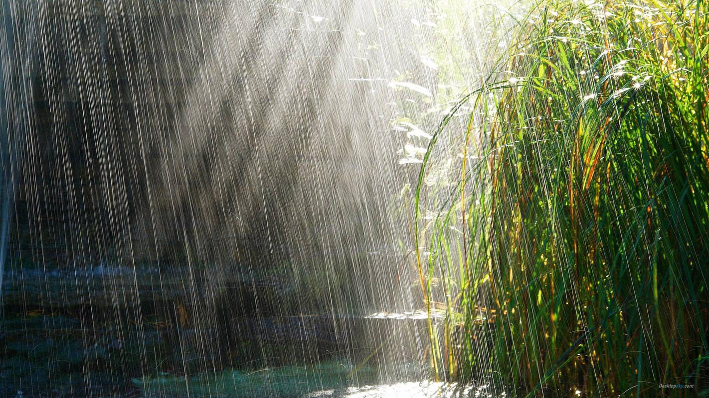 雨滴桌面主题(雨滴桌面主题,美化你的电脑世界)