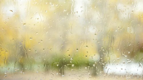 雨滴桌面主题(雨滴桌面主题,美化你的电脑世界)