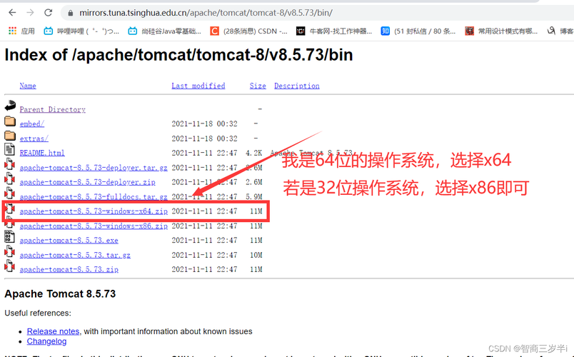 tomcat下载哪个版本