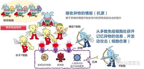 一直在体内的东西又变大了(体内异物持续增大，探究原因及应对策略)