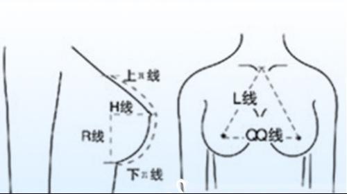 奶头好翘是不是想要了(奶头好翘：深入解析女性乳房健康与美观)