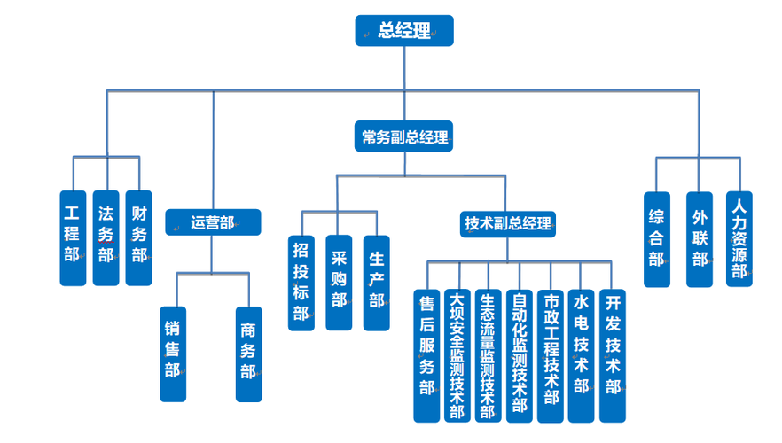 软件研发公司组织框架(软件企业组织架构)