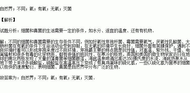 抑制细菌是什么意思(“抑制细菌：深入解析其含义与应用”)