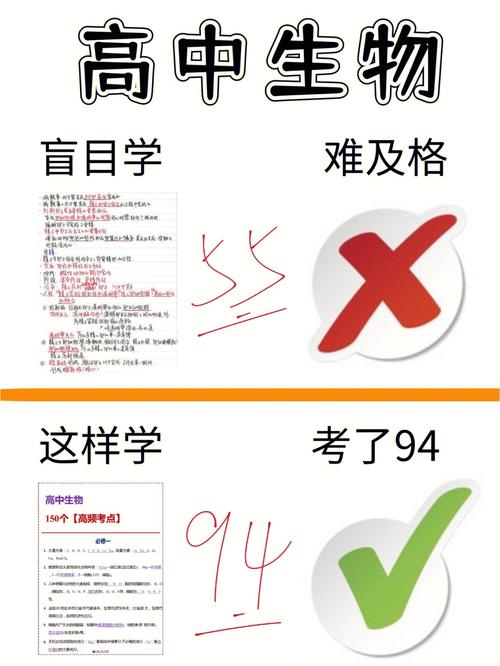 学渣坐学霸的鸡叭上写题(学渣逆袭：学霸辅导下的高效解题技巧)