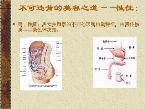 enigma顶开A的内腔(Enigma顶开A的内腔：深入解析其独特设计)