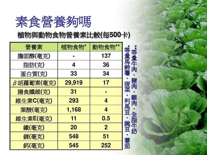 大头菜的营养价值(大头菜的营养价值：健康益处与营养解析)