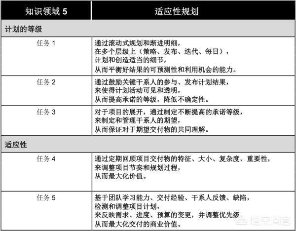 软件开发人员能力级别(软件开发人员的技能要求)