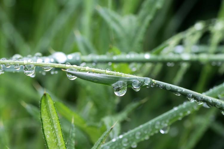 雨滴桌面使用教程(雨滴软件怎么使用)