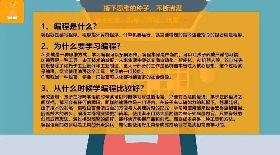 编程先学什么语言(编程先学什么语言合适)