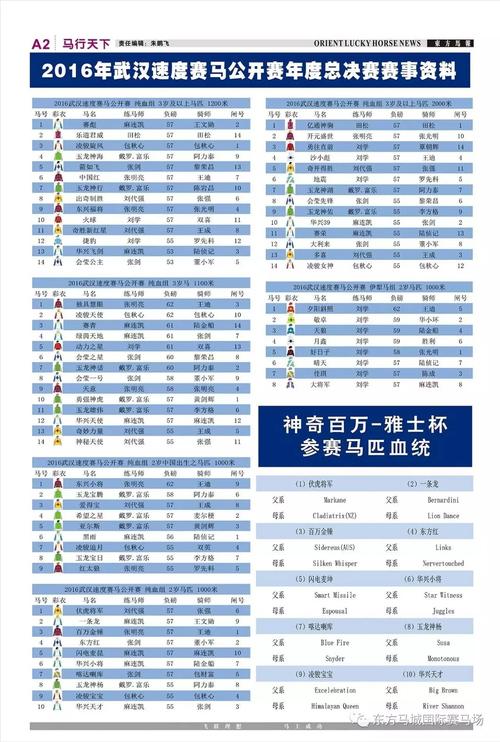 查一下今的马报(今马报查询，一览今日马匹竞赛全貌)