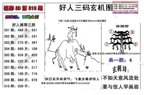 高手解玄区一好运一点通玄机(高手解玄区：一好运一点通玄机)