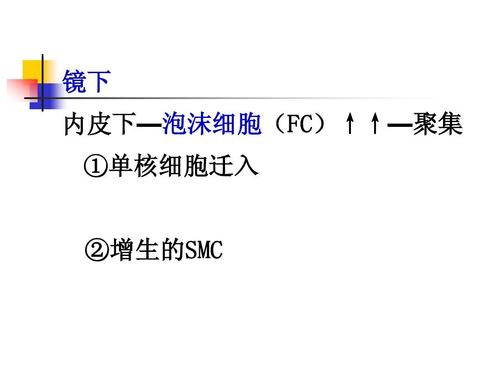 医学cms是什么意思(医学中smc是什么意思)