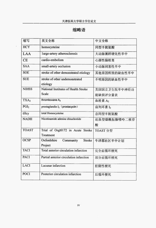 stroke是什么意思中文(stokke正确读法)