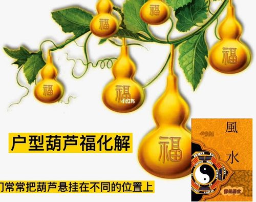 造梦西游3紫萱葫芦(悬挂葫芦有什么讲究)