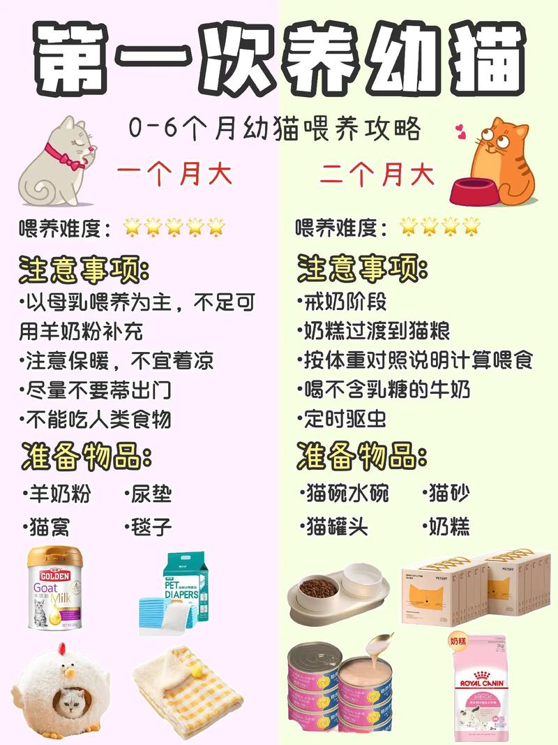 小猫咪饲养指南闻声有无(小猫咪饲养指南在线阅读)