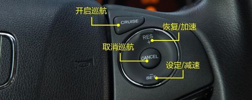 cruise是什么意思(cancel是什么意思车上的功能)