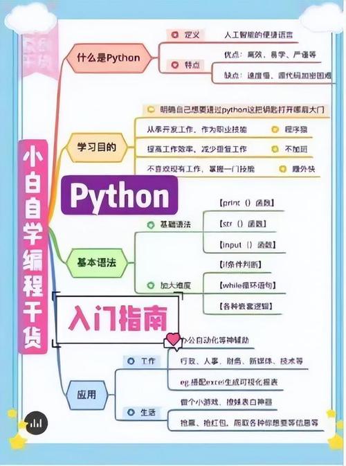 初学编程怎么学(初学者学编程该从哪里开始)