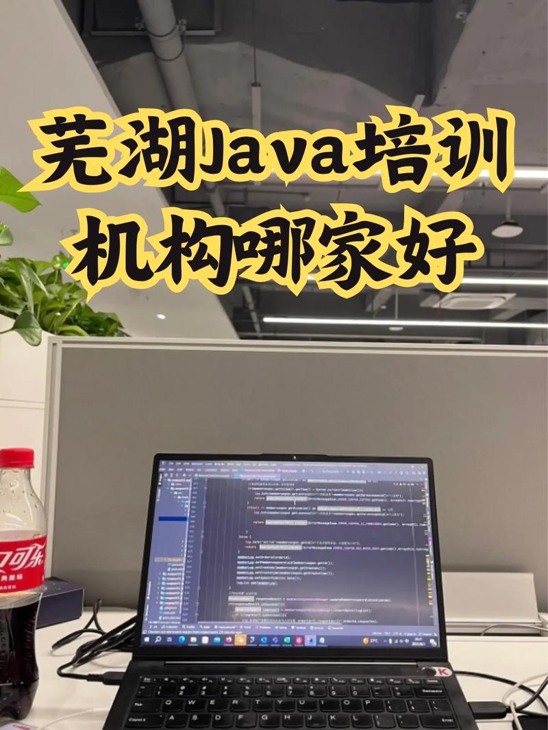 java培训机构有哪些(java培训机构哪些好知乎)