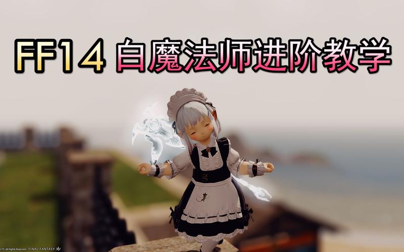 ff14多少级转职白魔(ff14多少级转职骑士)