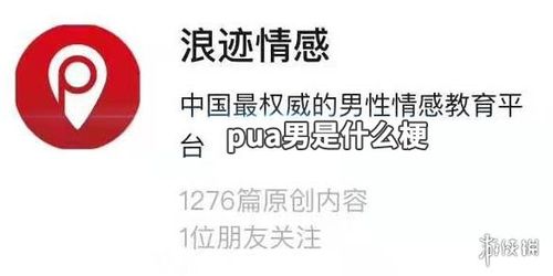 push是什么意思(pua是什么意思)