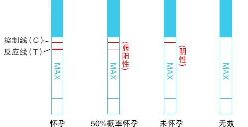 不用试纸自查怀孕(8个症状暗示你怀孕了)