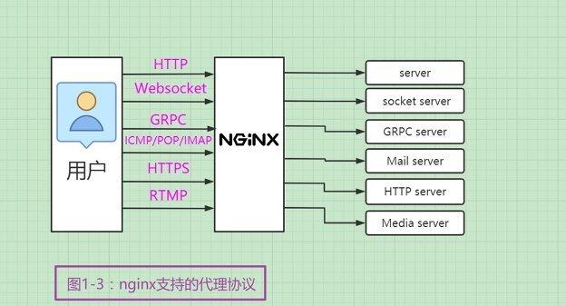 apache和nginx的区别(apache和nginx哪个好)