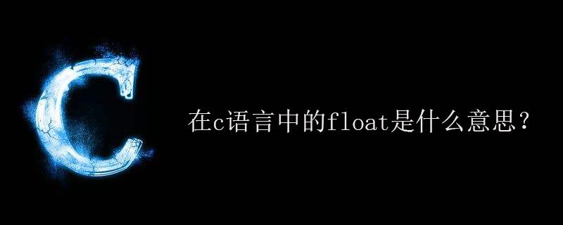 float是什么意思中文翻译