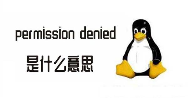 permission是什么意思(permission 是什么意思)