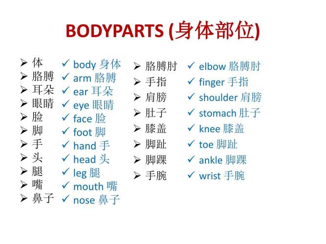 Pronunciation用法(propotion用法)