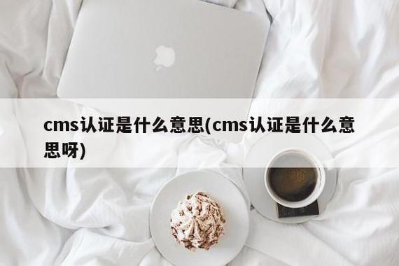 cms是什么意思网络用语(cms是什么意思网络用语怎么读)