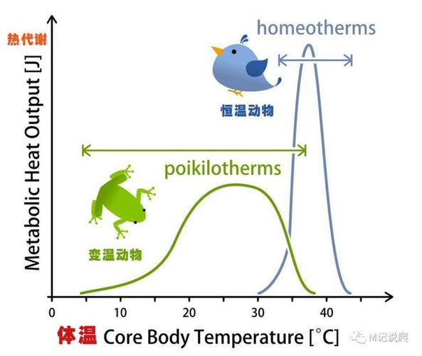 冷血动物体温如何变化(冷血动物为什么是冷血)