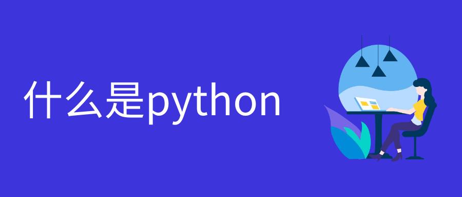 python是什么意思啊