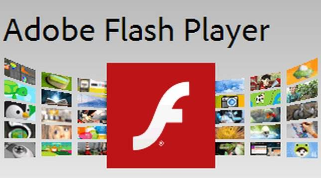 adobeflashplayer最新版(安卓9可以用的flash)