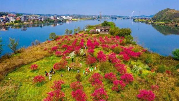 金庸群侠传3桃花岛后山走法(金庸群侠传3桃花岛攻略最新)