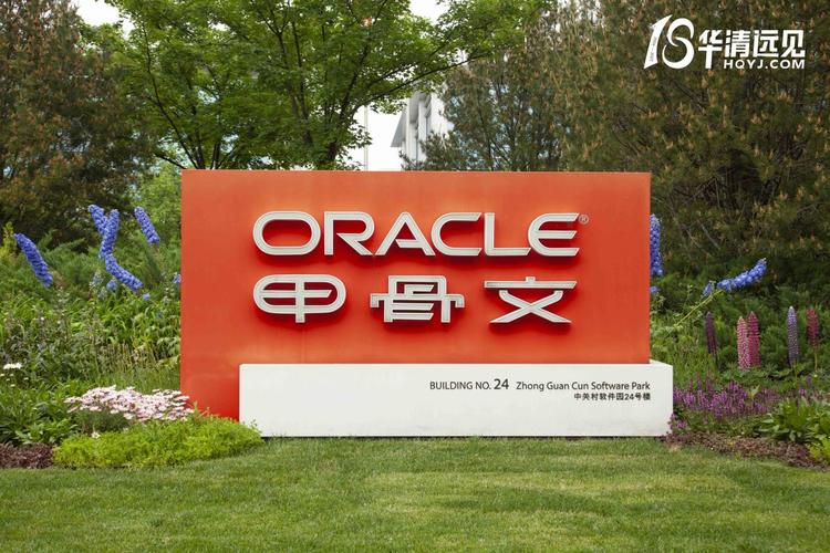 oracle为什么叫甲骨文(oracle中文叫什么)