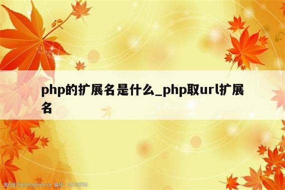 php是什么单位(php是什么,php的作用)