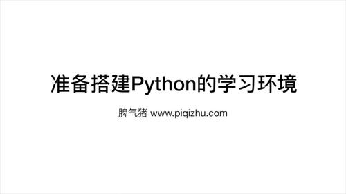 python什么意思(python学了能干嘛)