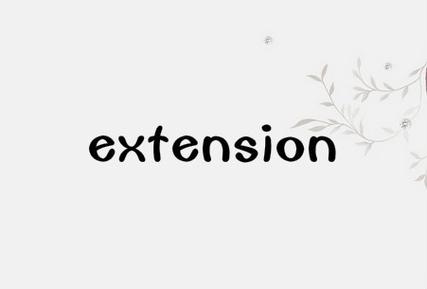 extension什么意思