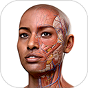 Complete Anatomy官方版下载-Complete Anatomy官方版安卓版v3.4.3